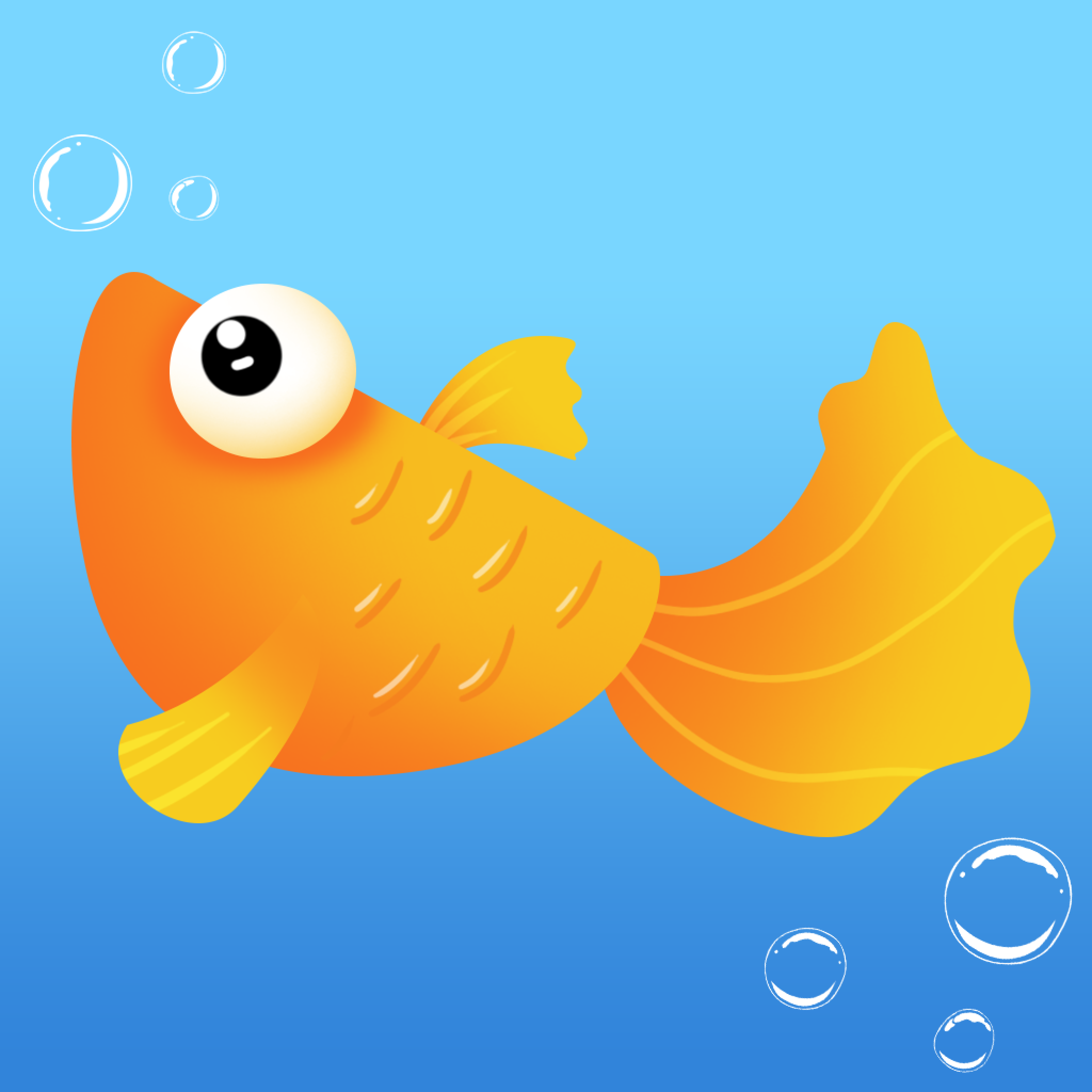 雏鱼短视频app官方版