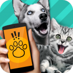 动物交流模拟器app