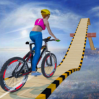 疯狂自行车特技赛3D中文版