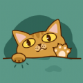 桔小猫短视频app
