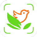 动植物识别app最新版