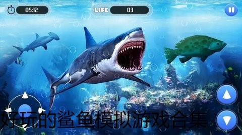 好玩的鲨鱼模拟游戏合集