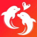 海豚之恋软件官方版 v1.0.0