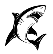 鲨鱼tv官网