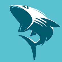 鲨鱼影视app安卓